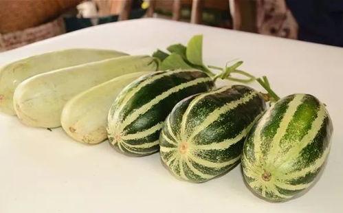 网红吃瓜给钱吗,揭秘网络红人背后的金钱游戏  第3张